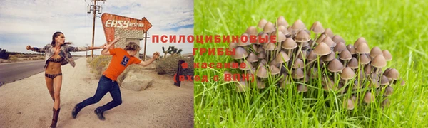 не бодяженный Тында